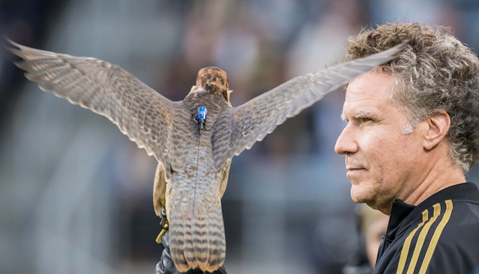 10 Things You Might Have Missed This Week – 08/03/19 - featured image