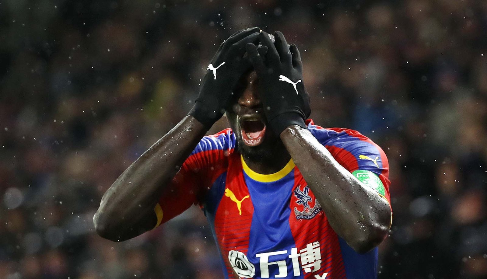 10 Things You Might Have Missed This Week – 15/02/19 - featured image