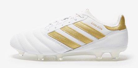 copa icon.jpg