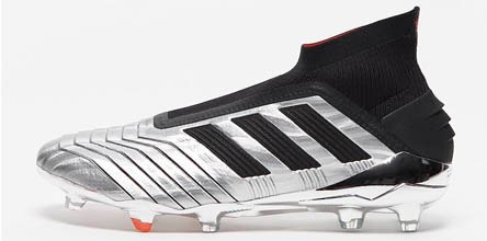 predator-302.jpg