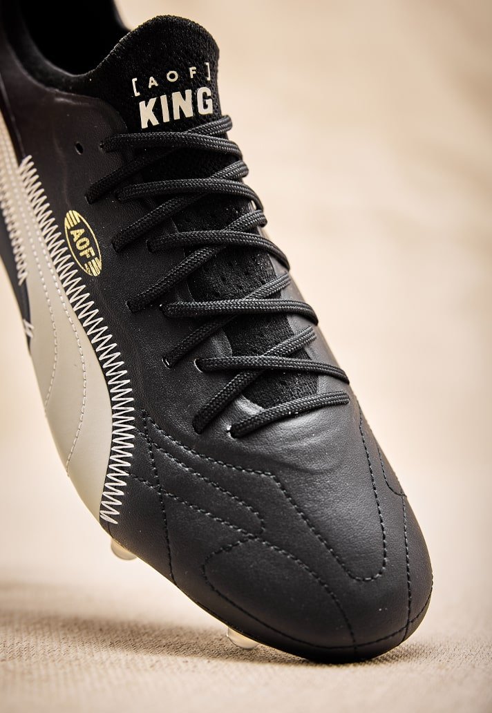 puma aof 12-min.jpg
