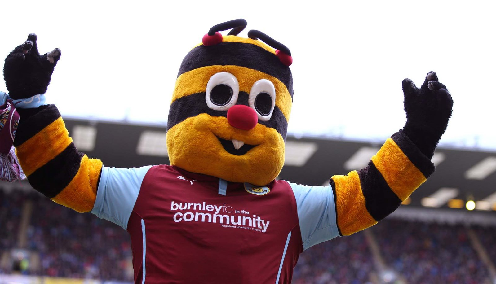 Ranking Every Premier League Mascot By How Hard It Looks - featured image