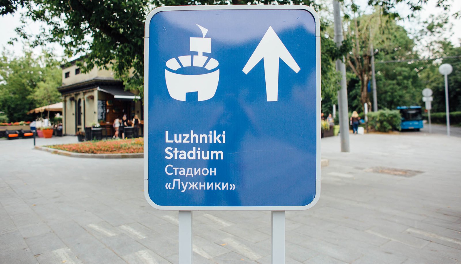 Scenes from a World Cup Final by Jenny Abrams - featured image