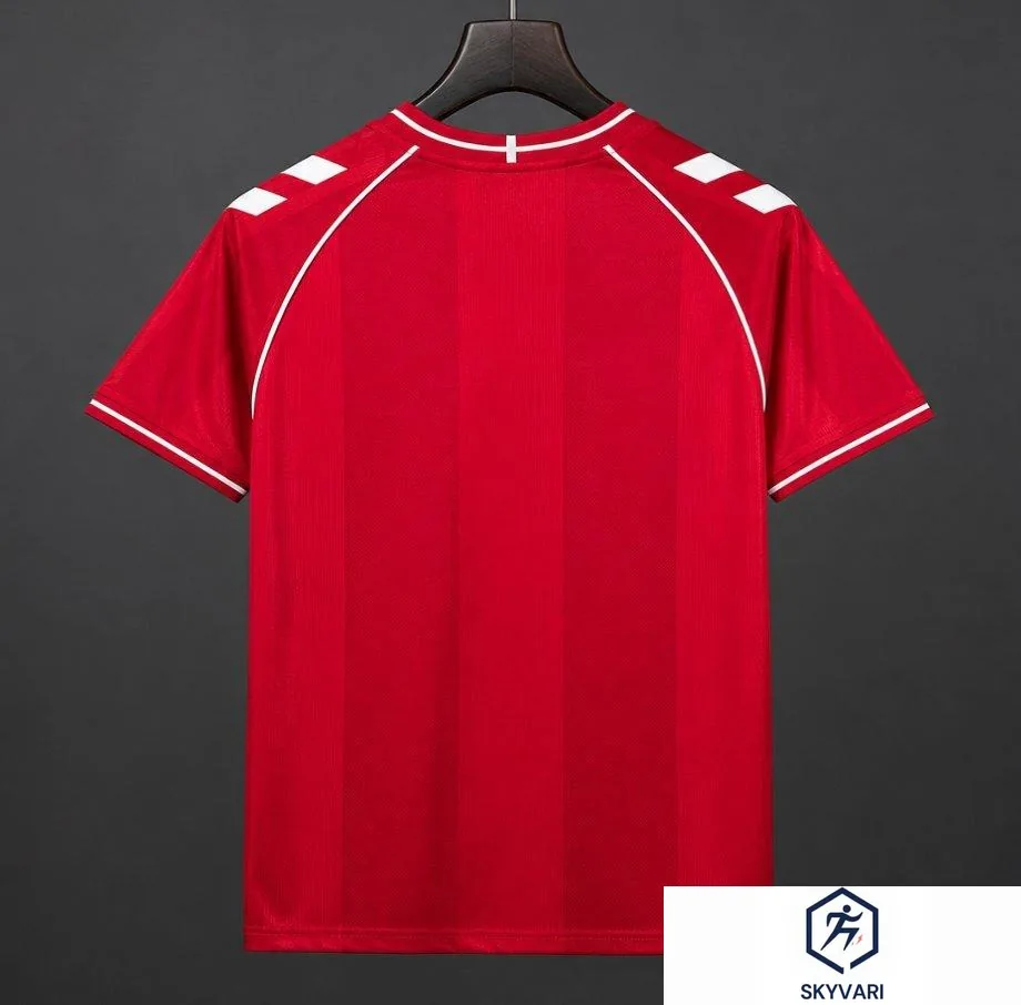 2026 Denmark Home Jersey — view 2