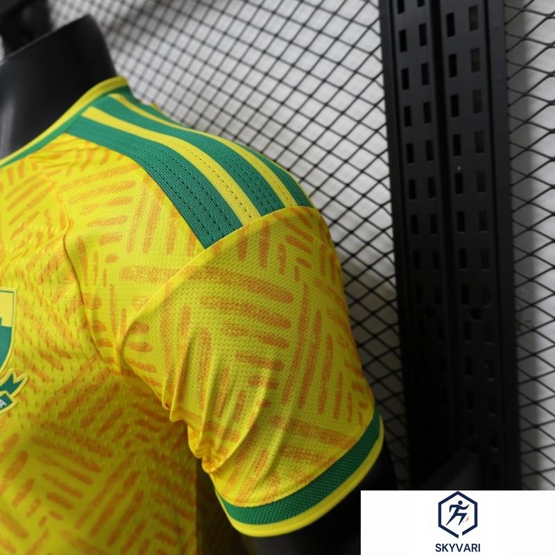 Player Version 26/27 South Africa Yellow &amp; Green Home Jersey (Adidas) — view 9